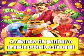 ollo4d